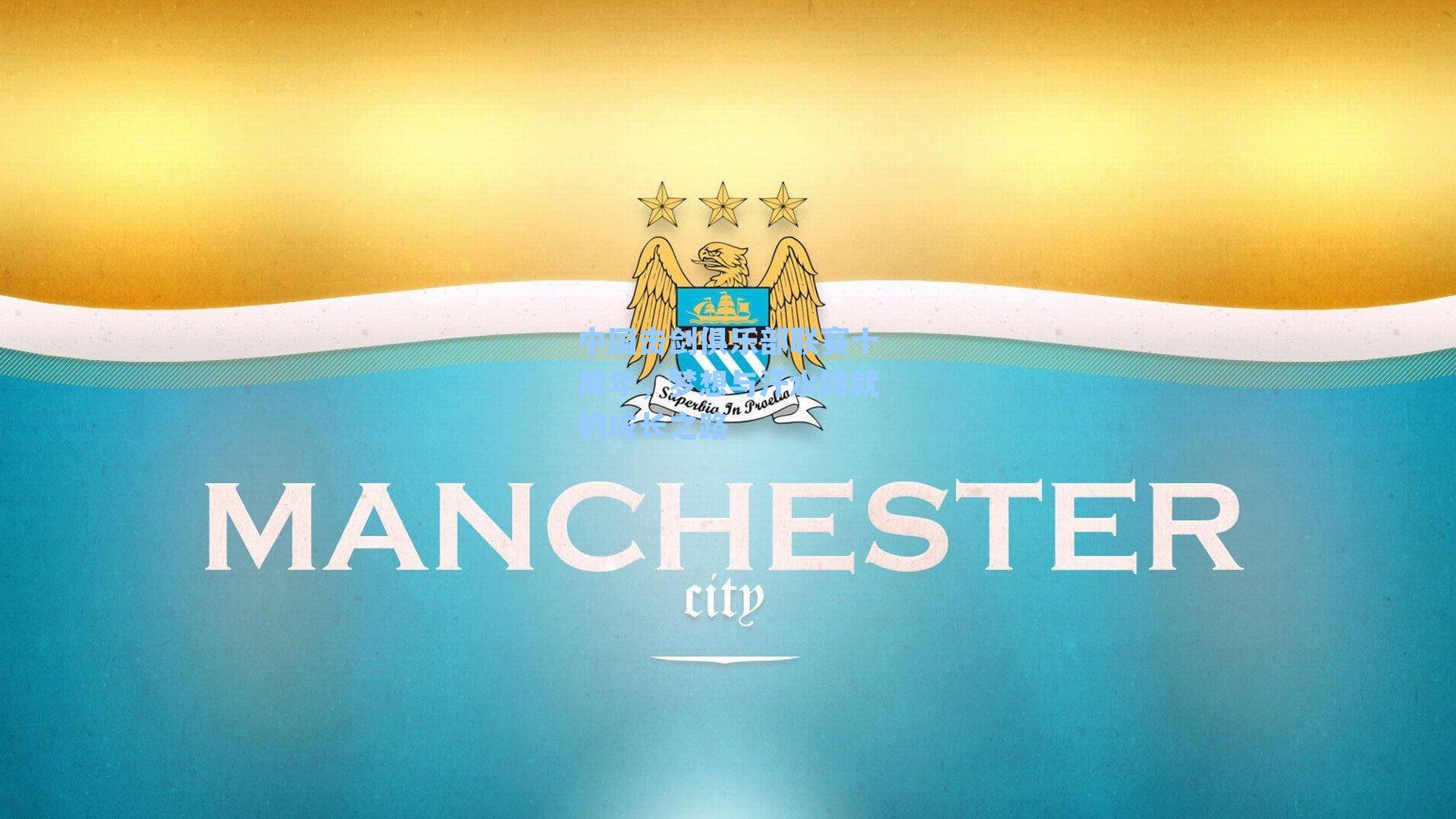 中国击剑俱乐部联赛十周年，梦想与汗水铸就的成长之路